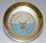 1539736U HORN BUTTON 1956 PRESIDENT - inth