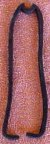 306055 TAIL LAMP LENS GASKET - lnsgt