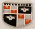 800585 PLASTIC EMBLEM INSERT - misc3c