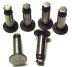 VLV308 CHAMPION VALVE LIFTER SET - 6casft